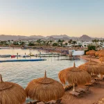 Tragedy in Egypt: Three Qatari diplomats killed ahead of Gaza peace summit