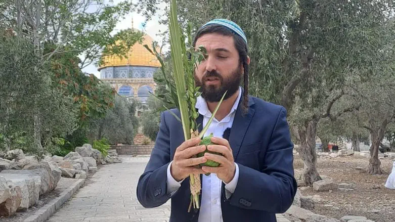 MK Tzvi Succot waves the Four Species on the Temple Mount