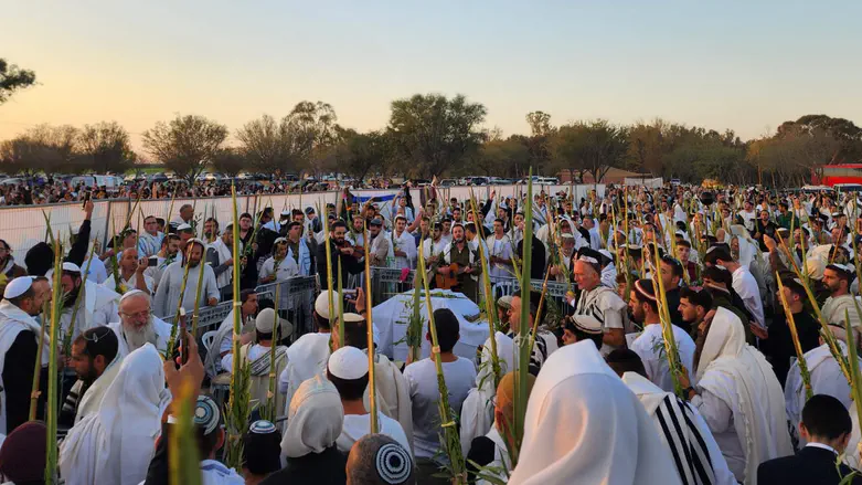 Live: Thousands pray at Nova site with Rabbi Eliyahu