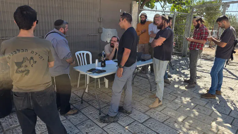 North And South: Two large-scale searches for missing persons underway