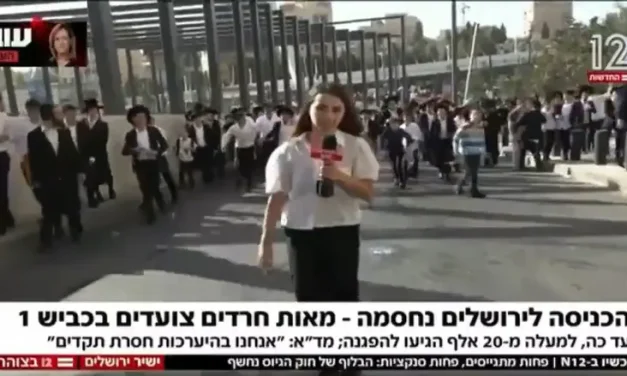 Watch: Haredi demonstrators attack reporter in Jerusalem