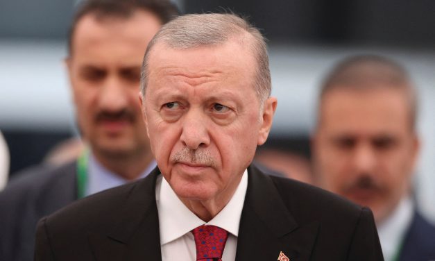 Erdogan says Turkey is explaining to Hamas best approach for Palestinian future