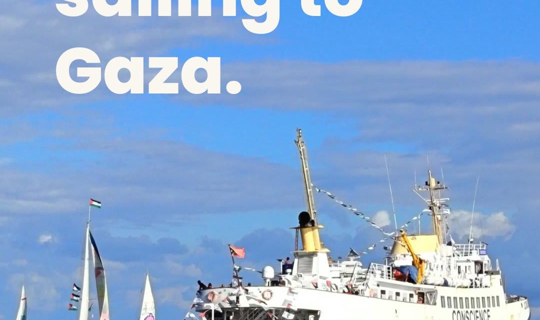 Israel foils second Gaza flotilla in a week, activists say vessels were under attack