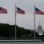 US swastika flag planted as a targeted ruse said GOP Rep.