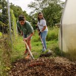 Jewish tradition, hands-on acts of service, show the power of volunteering – opinion