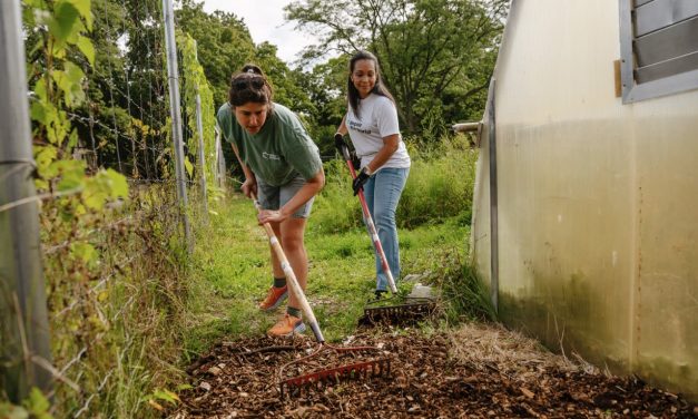 Jewish tradition, hands-on acts of service, show the power of volunteering – opinion