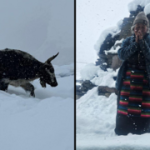 Snowstorm traps 100 Israeli trekkers in remote Nepal villages