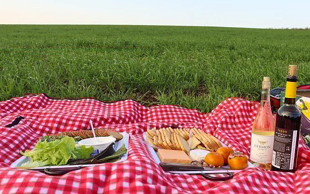 Susannah Schild | Five Perfect Picnic Spots in Israel