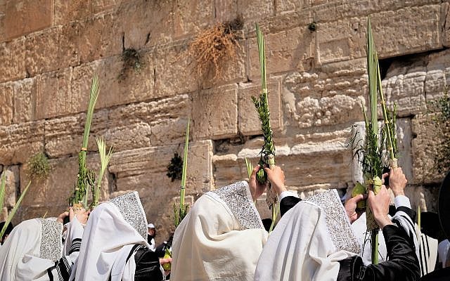 Avraham Wald | PHOTO ESSAY – Sukkot in the Holy Land 5786