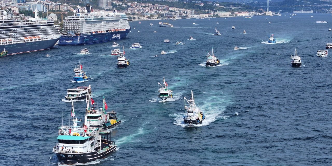 Jewish freelance journalist Emily Wilder is detained as Israeli military intercepts Gaza aid flotilla