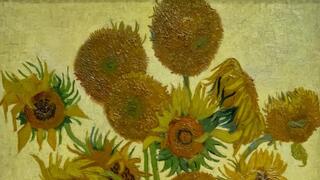 Visiting art museums reduces stress, strengthens heart and immune system, new study finds