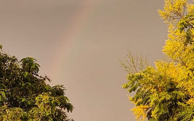 Gefen Bar-On Santor | Will ‘a new day in God’s coloring book’ rise?