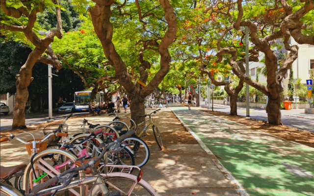 Steven Rindner | Cycling around Israel