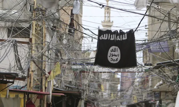 CENTCOM: 22 anti-ISIS operations in Syria, 5 terrorists eliminated, 19 captured