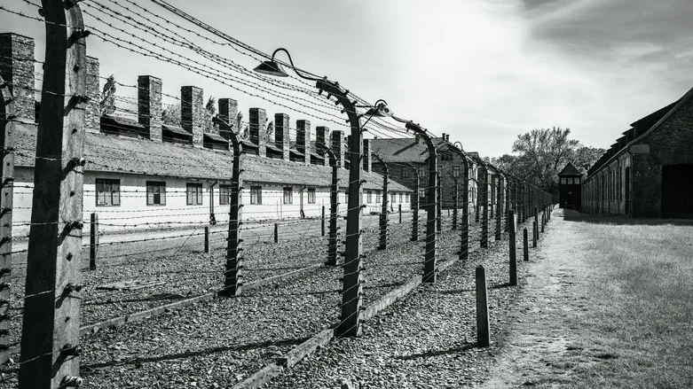 MP lashed out at Jews in front of Auschwitz