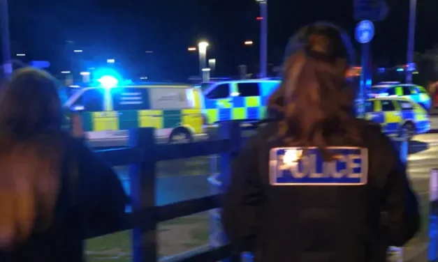 Multiple stabbings on UK train, two arrested