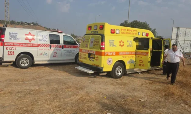 Neta Halevi, 7, killed in traffic accident in Shadmot Mehola