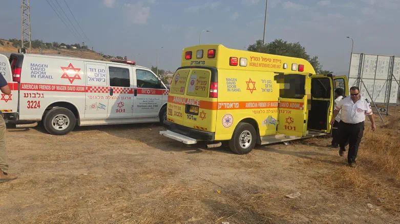 Neta Halevi, 7, killed in traffic accident in Shadmot Mehola