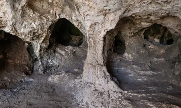 Carmel cave dwellers 15,000 years ago hunted lakes, not the sea