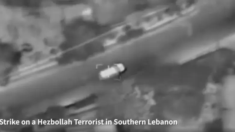 IDF eliminates Hezbollah operative in southern Lebanon