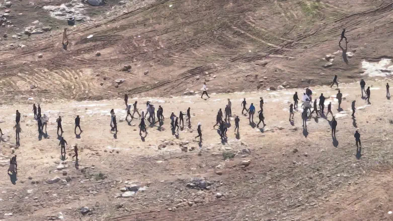 Watch: Jewish shepherds mobbed in Gush Etzion