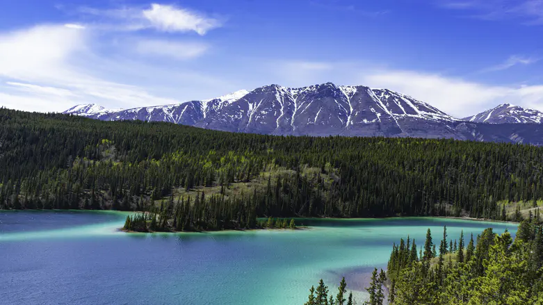 A Thanksgiving plan to save Europe’s Jews