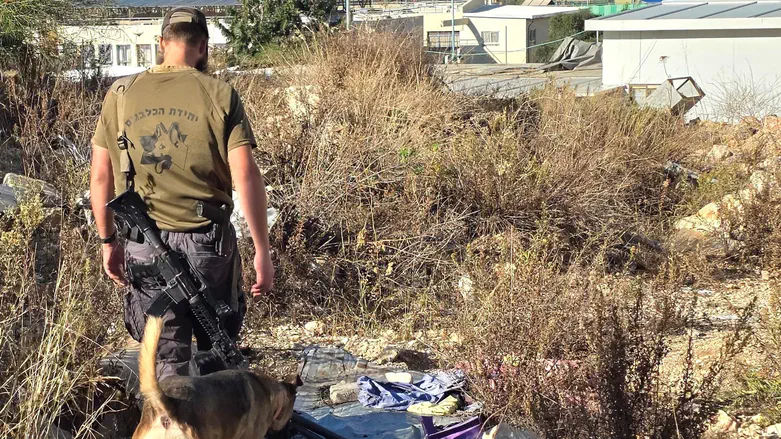 Missing teen rescued after intensive search near Elad