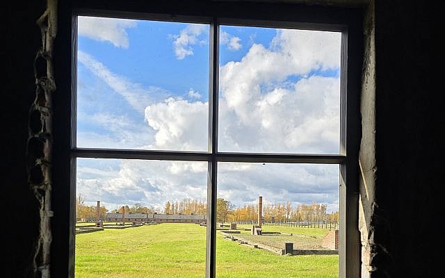 Alexandra Ell | In the Birch Meadow of Birkenau