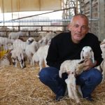 Wadi Attir shows how infrastructure can transform Negev’s Bedouin communities – opinion