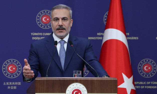 Turkey set to call for action on Gaza as soon as possible, source says