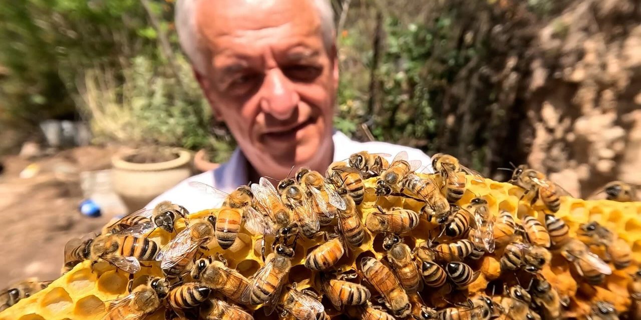 Spirit Festival to help reflect on troubled times