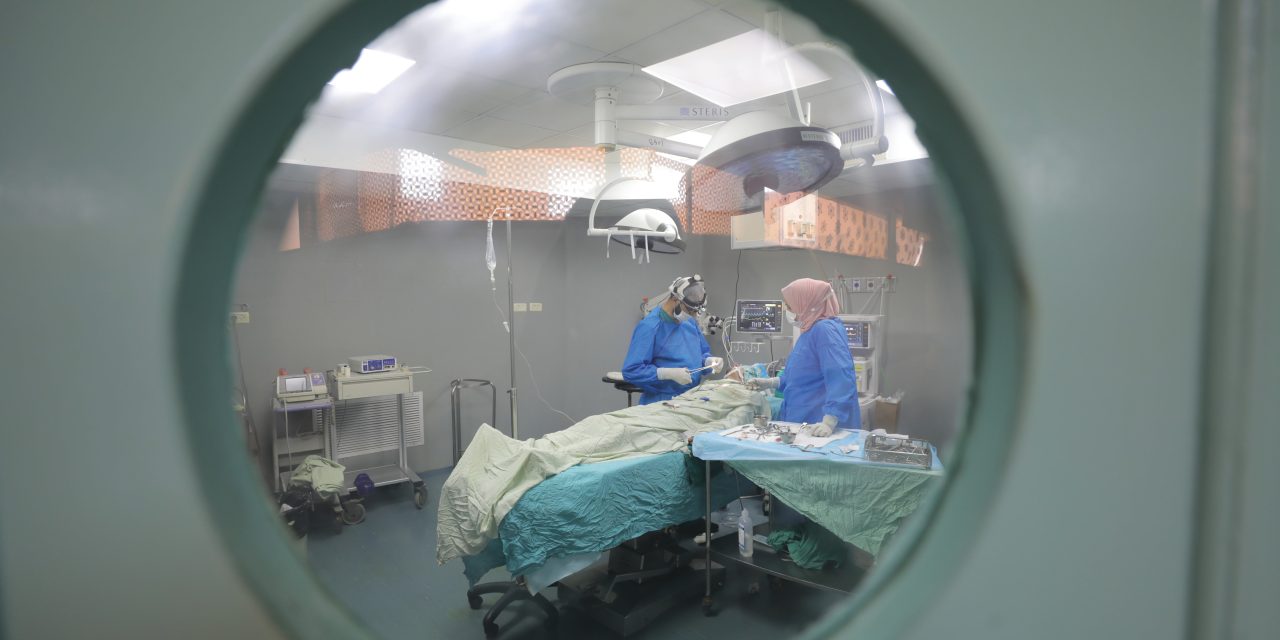 Is emigration harming Israel’s medical services? – opinion