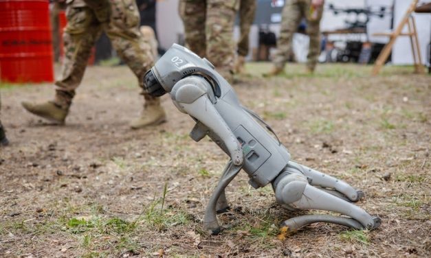 China unveils ‘robotic wolves’ leading frontline in amphibious assault exercise