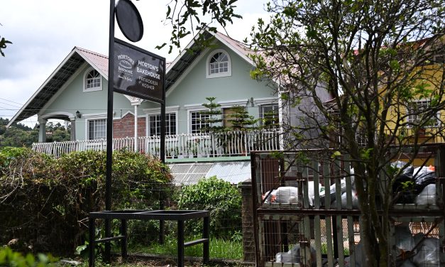 Chabad Hospitality in the cloud forest of Boquete, Panama