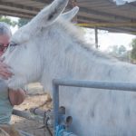 TV Time: Israeli television gives glimpse of optimism with ‘Accidental Happiness’