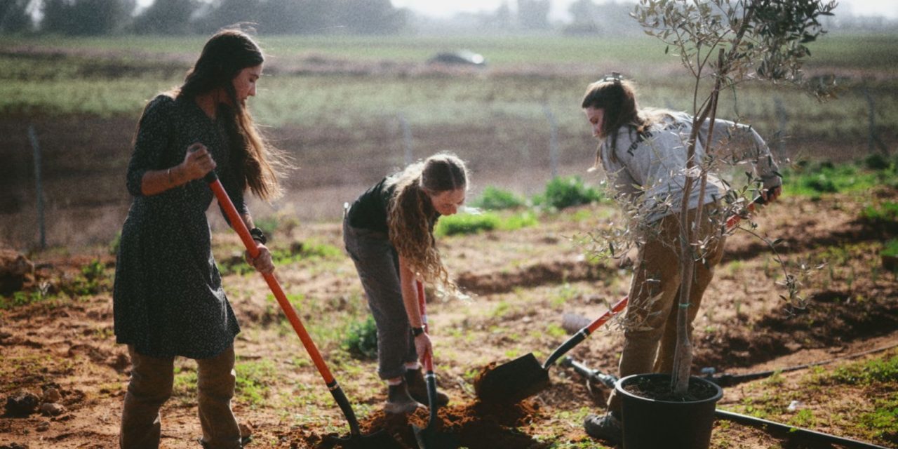 Hashomer Hachadash Youth’s November Conference Opens with Volunteer Work