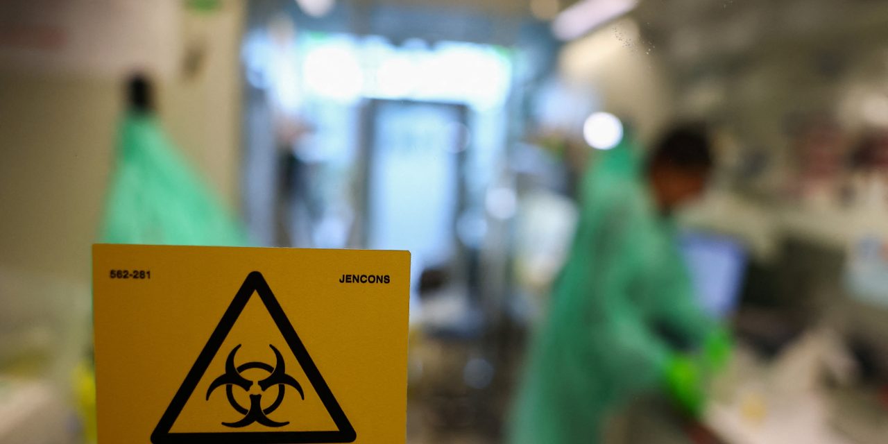 Early bird flu season brings sharp rise in cases in Europe and North America