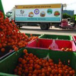 One-third of Israel’s food is wasted as 1.5 million go hungry, report finds