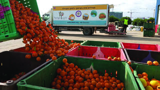 One-third of Israel’s food is wasted as 1.5 million go hungry, report finds