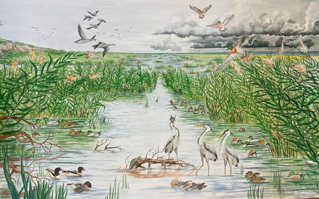 15,000 years ago, hunter-gatherers in Israel’s Carmel plain dined on duck all winter