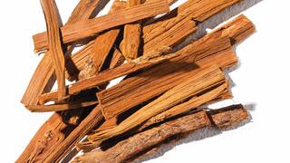 The plant secret that helps prevent winter illnesses