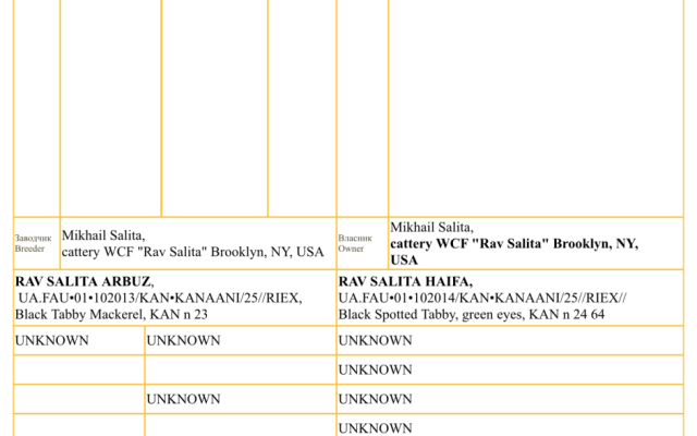 Mikhail Salita | Reviving the Kanaani: FAU, WCF and the Salita Foundation Bring Israel’s Native Cat Breed Back to the World