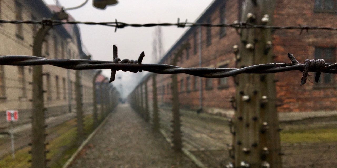 German auction house calls off ‘shameless’ sale of concentration camp artifacts