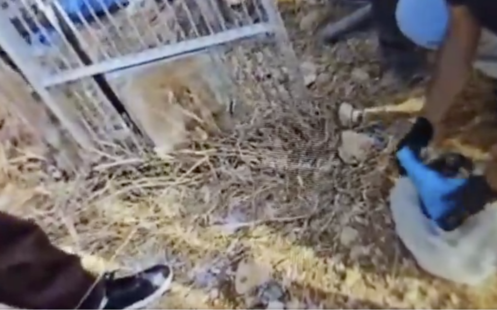 4 East Jerusalem Palestinians held for Islamic State ties, prepping for ‘end of days’ war