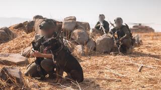 IDF exercise simulates invasion of West Bank: ‘We have many lessons to learn from October 7’ | Watch