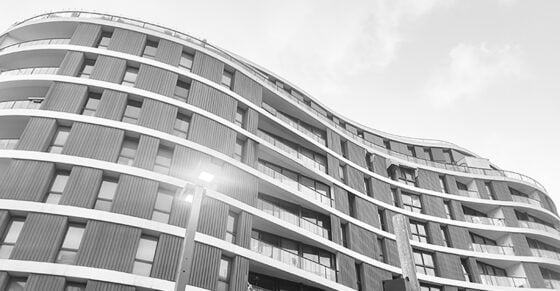 Tel Aviv’s Bauhaus Magic: A Walk Through the White City