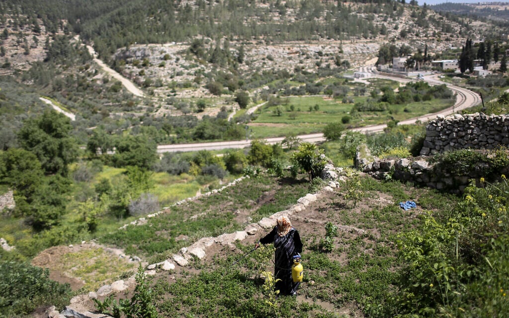 Understanding the Green Line and Israel’s Presidency – Sponsored Content