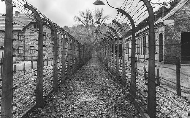 Ella Ben Emanuel | Teaching Morality Shouldn’t Be Hard – But It Is