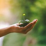 Saul Paves | Planning and Generational Legacy