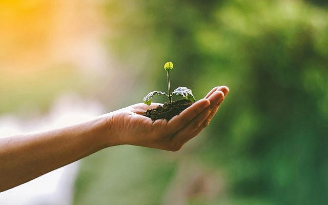 Saul Paves | Planning and Generational Legacy